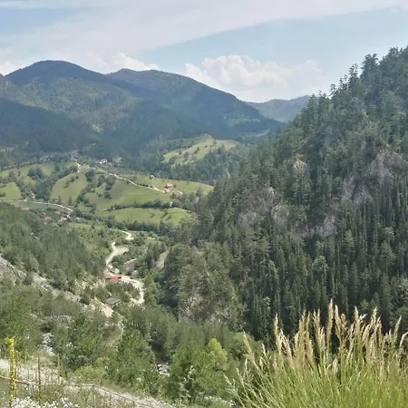 Apartments&camping Zip